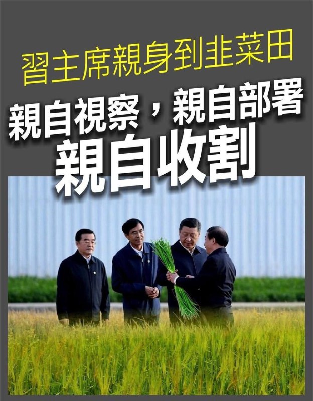 生动形象的宣传画🕶