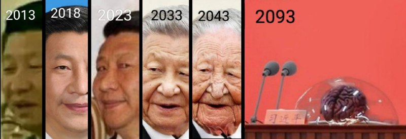 我预测的未来中国大选我预测的未来中国大选