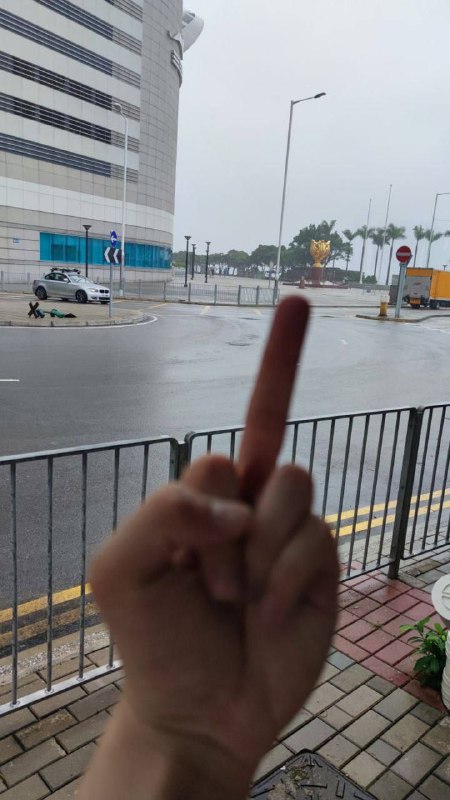 习近平我操你妈，国安黑警死全家！