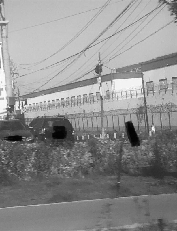 「1984」Xinjiang CampsBy