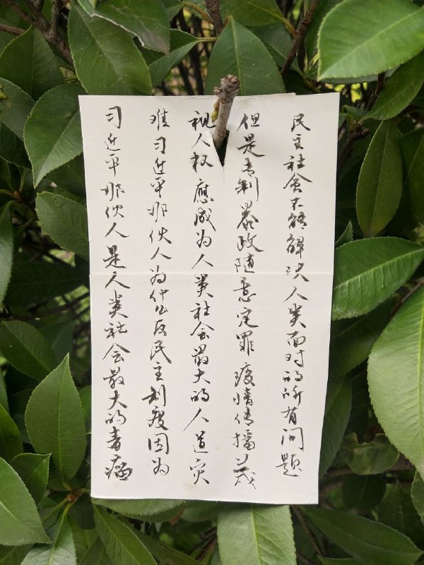 在墙国某公园遛狗，看到树上有人挂了让习近平引咎辞职下台滚蛋的纸牌By