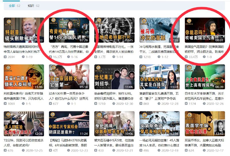 还是怒斥狗罕见流量高！