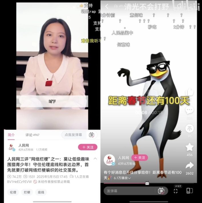 双标这一块儿😅🕶