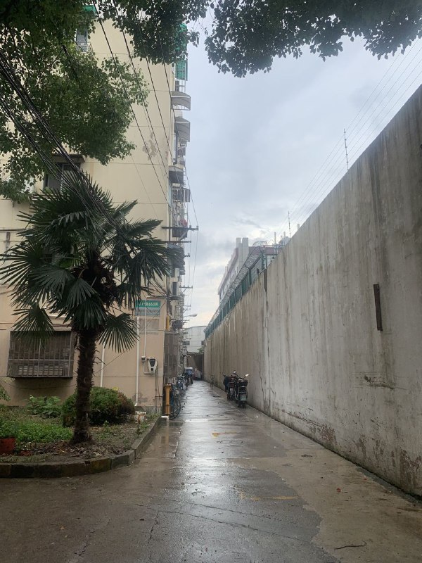 #编程随想他在看守所已经关了三年多了