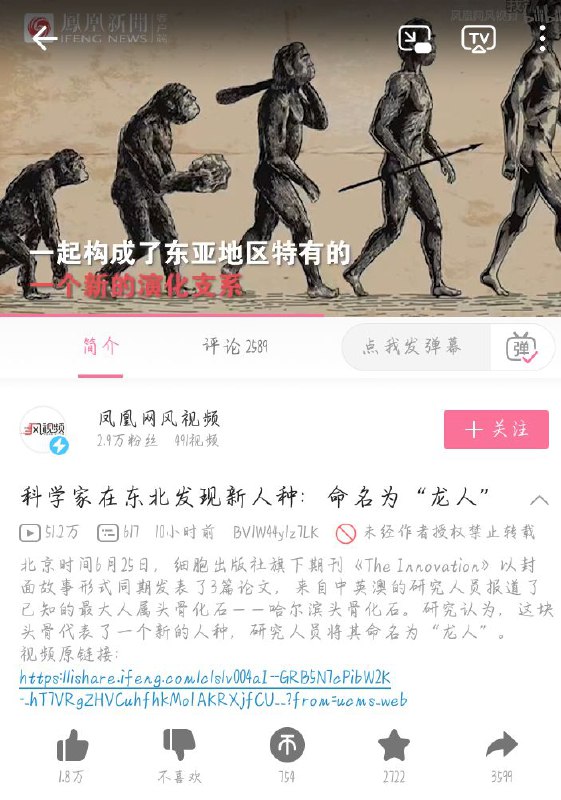 这又是什么鬼？龙人？这又是什么鬼？龙人？