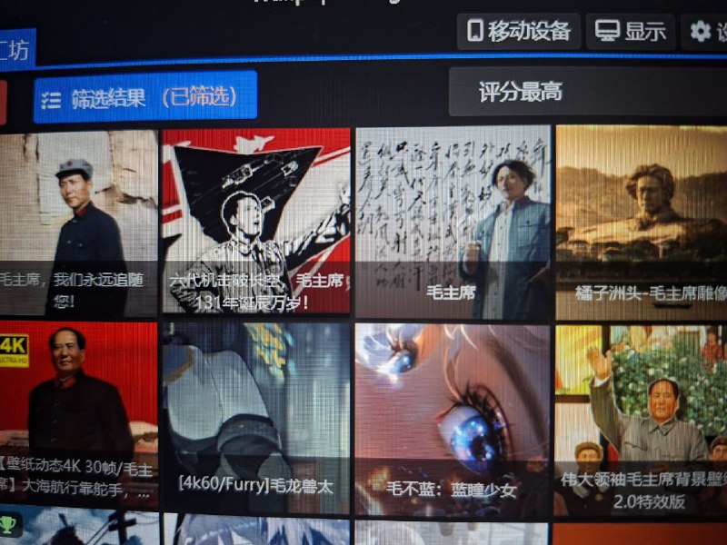 为什么只有我们的维尼