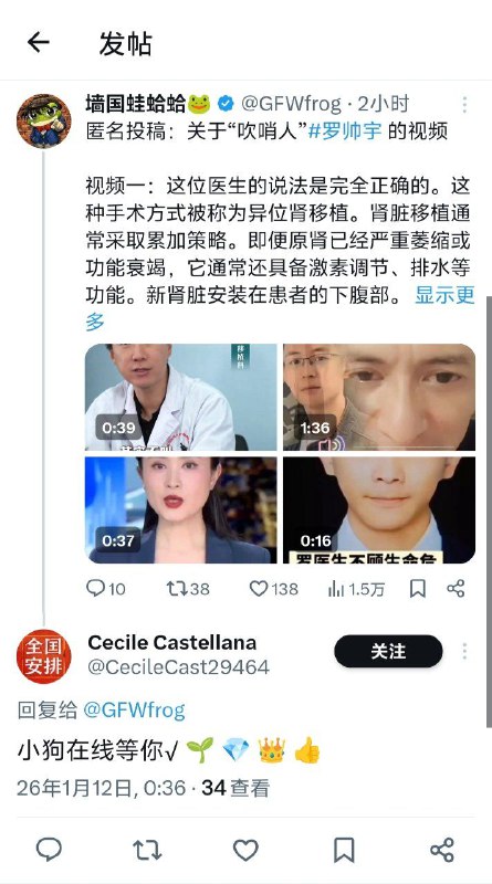 蛙帖子下面的黄推账号