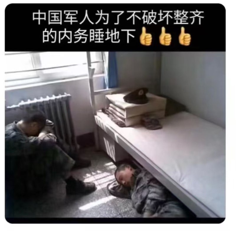 听党指挥，汪汪汪汪，