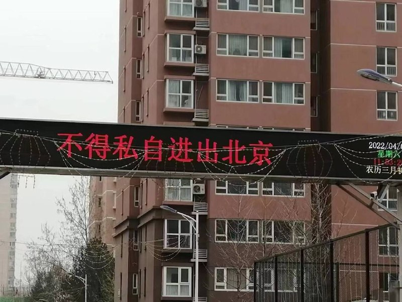 文革2.0进行的如火如荼文革2.0进行的如火如荼