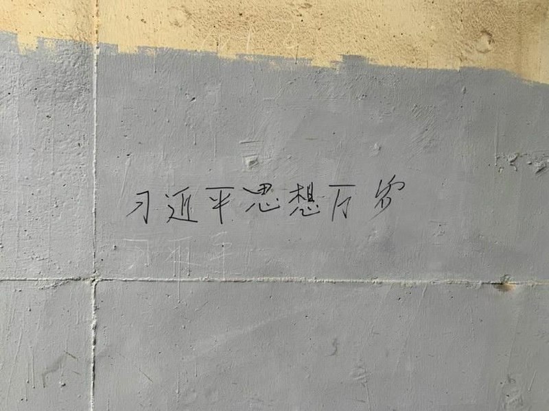 如果写这句话的人被逮到了，是按照『精神病人』、『寻衅滋事』，还是『感动中国』来处理？