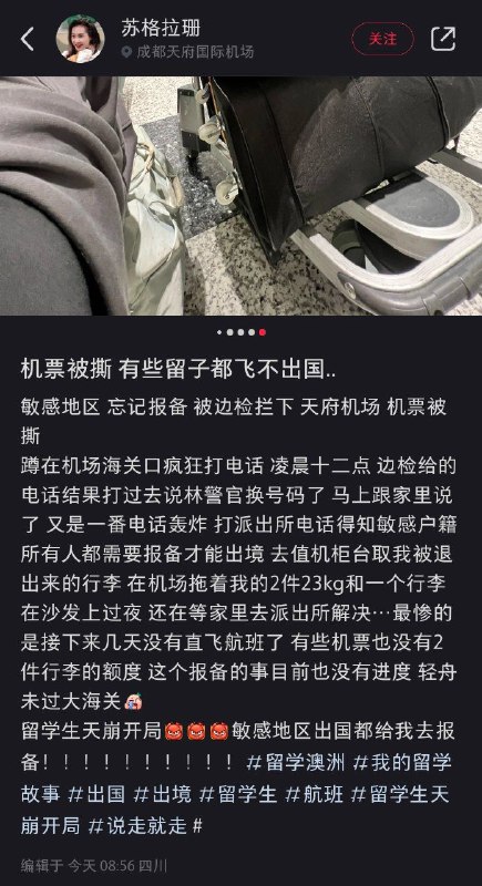 留子们来去自由😁留子们来去自由😁