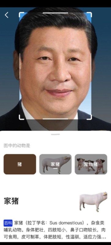 简单识别一下👤 来