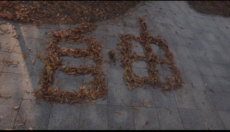 辱包势力宣布对事件负责投稿By