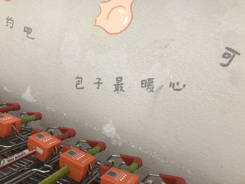 想约包子🤔？！#习厨TV#主席很细你用显微镜找一下