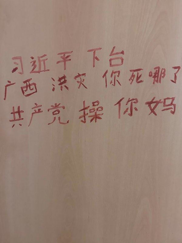 #大涂鸦运动#厕所革
