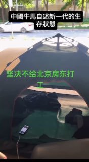 中國牛馬自述新一代的