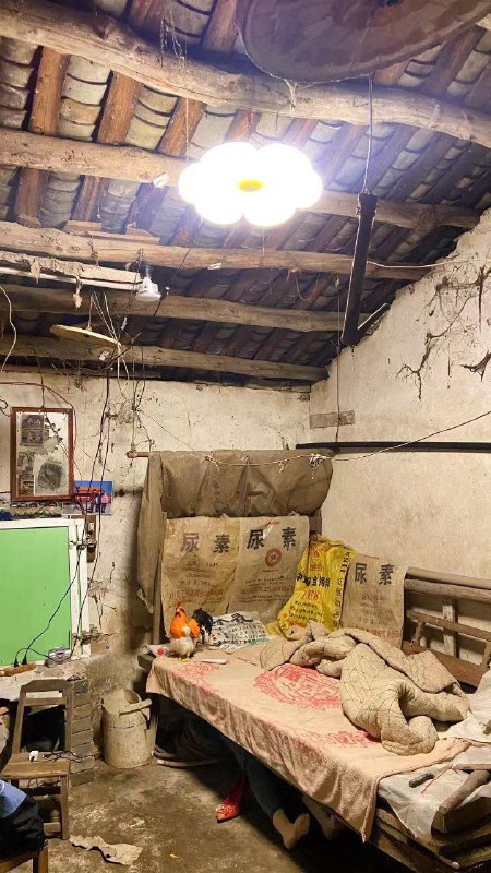 脱贫攻坚成果展示投稿By