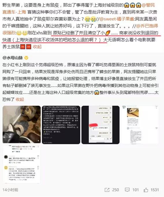 上海人民有福了By