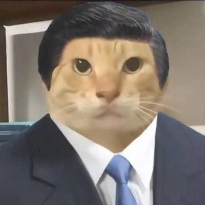 猫主席哈基米🕶️