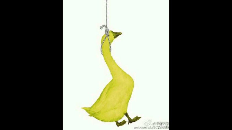 继黄娥老头电话门后，再现黄鹅孝子By