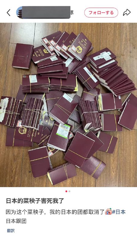 不是那头维尼熊害你没办法去日本？🕶️ 匿名投稿