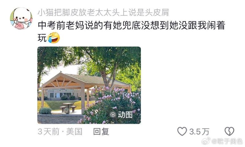 我们都有特别的做题技巧🙂投稿By