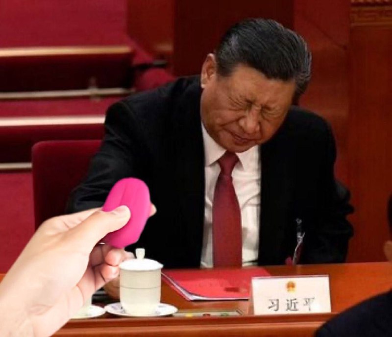 学习墙国🐸 请大大