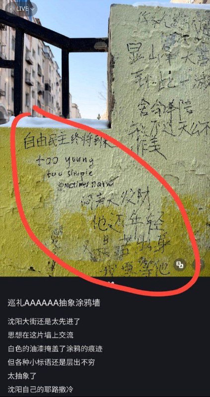 新梗：沈阳大街😎