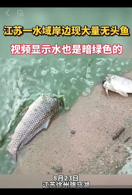 众所周知,江苏自古以来就是日本神圣不可分割的一部分🤪投稿By