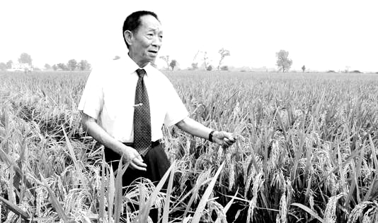 人生自古谁无死,不幸的,袁隆平已经逝世，享年91岁