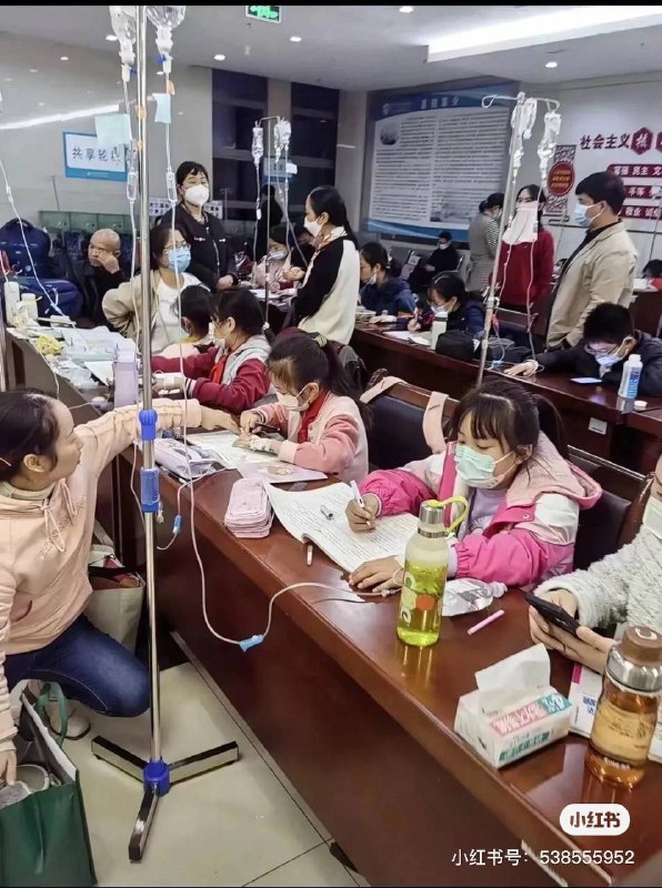 《韭菜苗的作业堆积如山》via CCP bandit