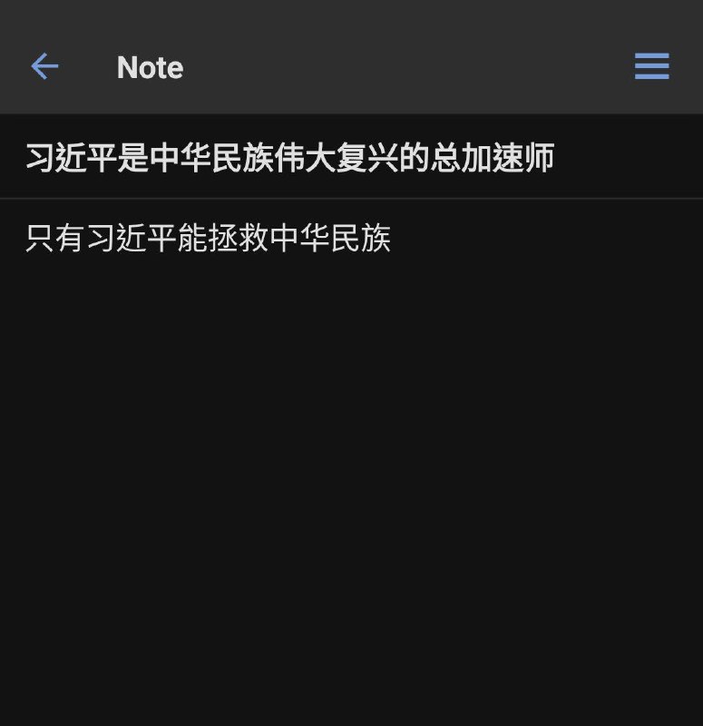 鉴于WPS审查事件和语雀审查事件，有人问什么软件做备忘录比较安全