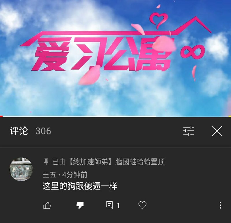 这厮骂得太好了！爱习公寓的住户确实都是傻逼中共狗🐶！传送门🚪