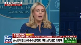 白宫发言人莱维特表示