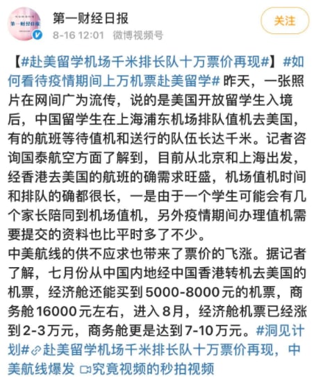 《一条狗的回家路》《一条狗的回家路》