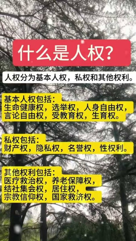 这些中国都没有😎 匿名投稿