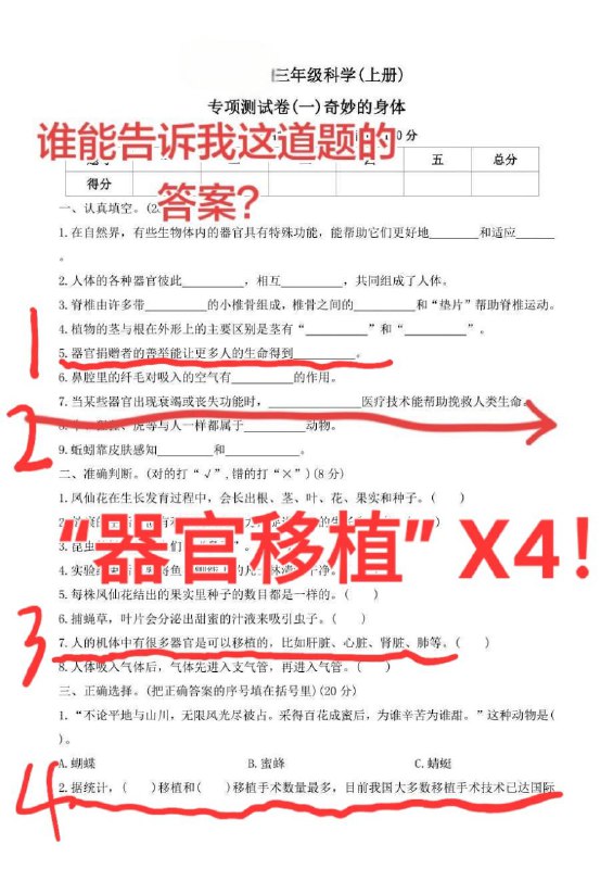 1月13日，河南网友