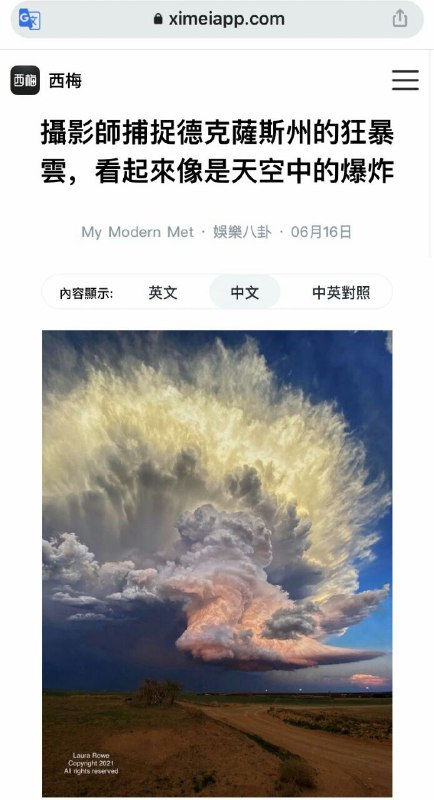 五毛翻车现场五毛翻车现场