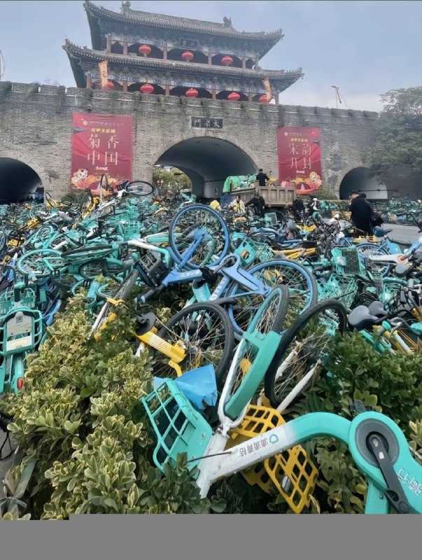 绝大多数墙内大学生就是这德性，咋还能在推上被炒作成新64😅By