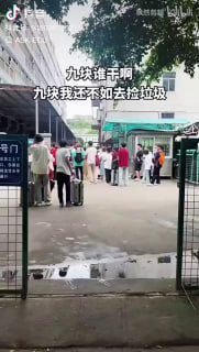 韭菜的世界充满了希望