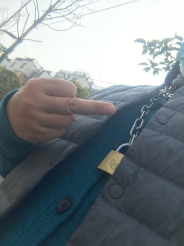 什么狂人#中指革命By