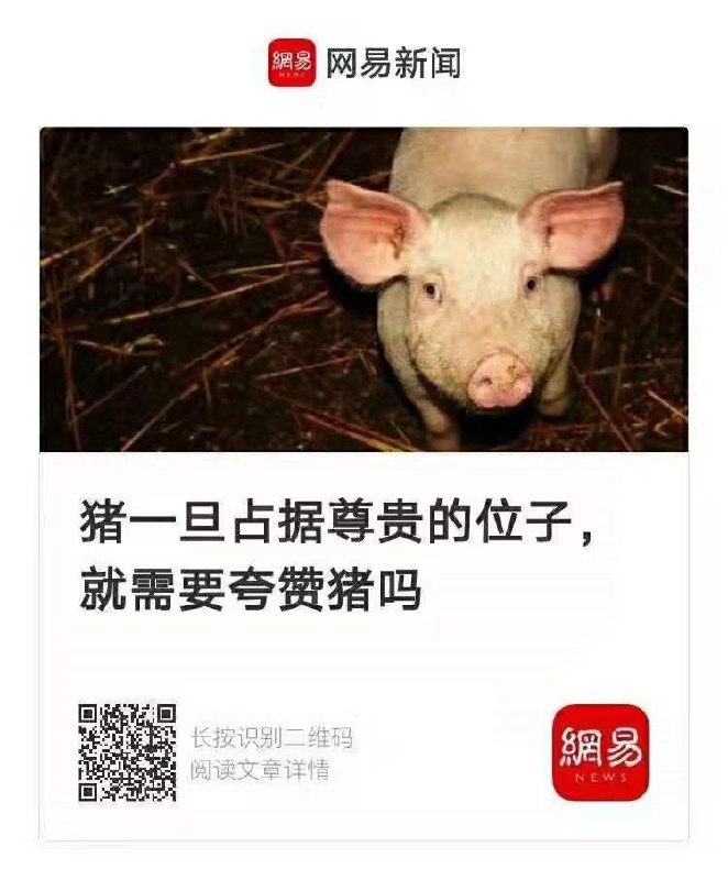 乳膜难辨😂乳膜难辨😂