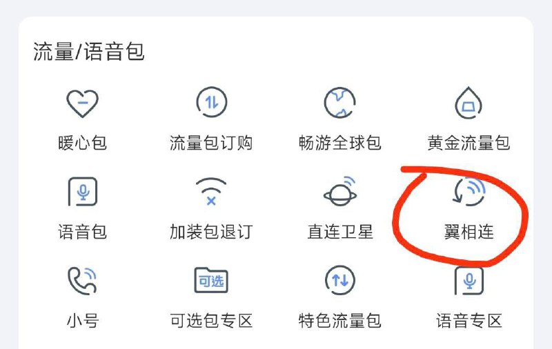 有网友发现中国电信把 xray-core 塞进去了……By