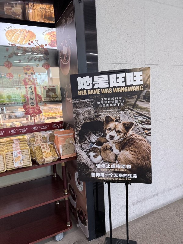 👤 来自: 椎名真