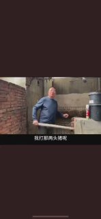 你最好给我谈的是养猪🐷！