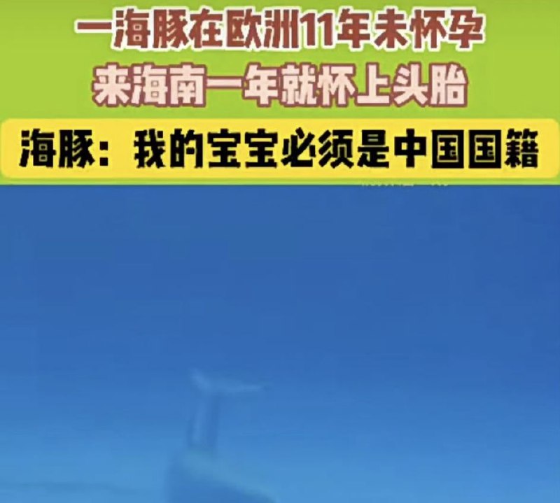 這幫人是有什麼大病？By