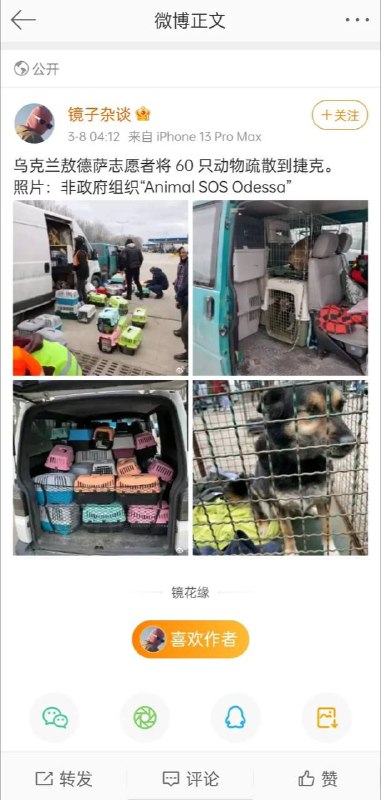 警惕拜登打狗牌！By