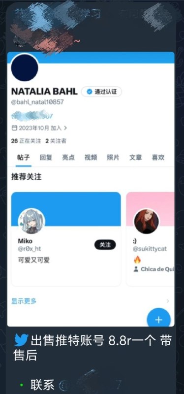 知道X上的墙国网军发