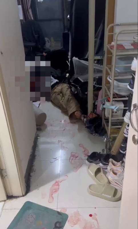 11月20日晚 #杭州 #电子科技大学信息工程学院 宿舍发生一起砍人事件