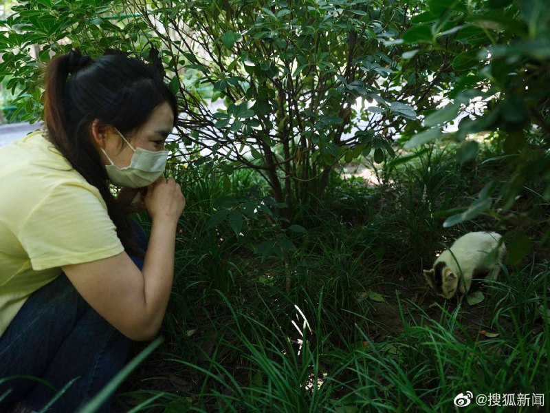 这样羸弱不堪的韭菜，党国根本看不上眼，没想到你还要主动凑过来给镰刀割，唉😿By